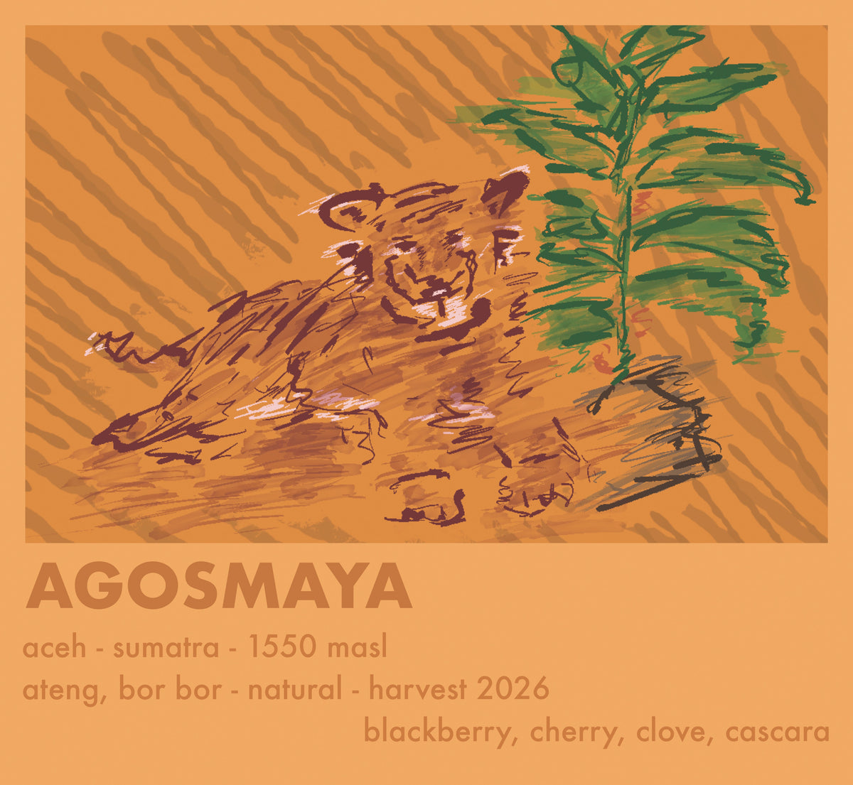Indonesien Agosmaya