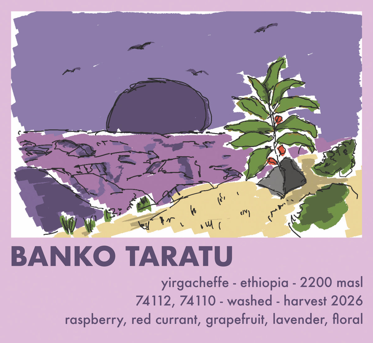 Äthiopien Banko Taratu