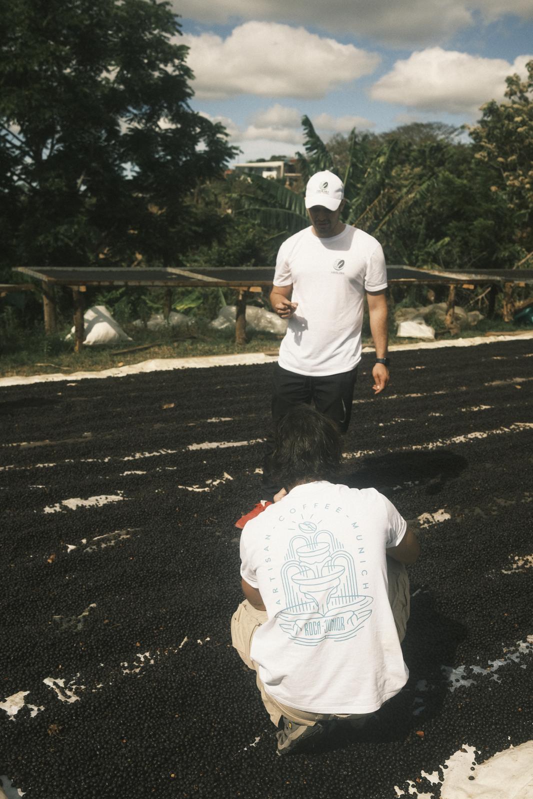 Finca Matilde