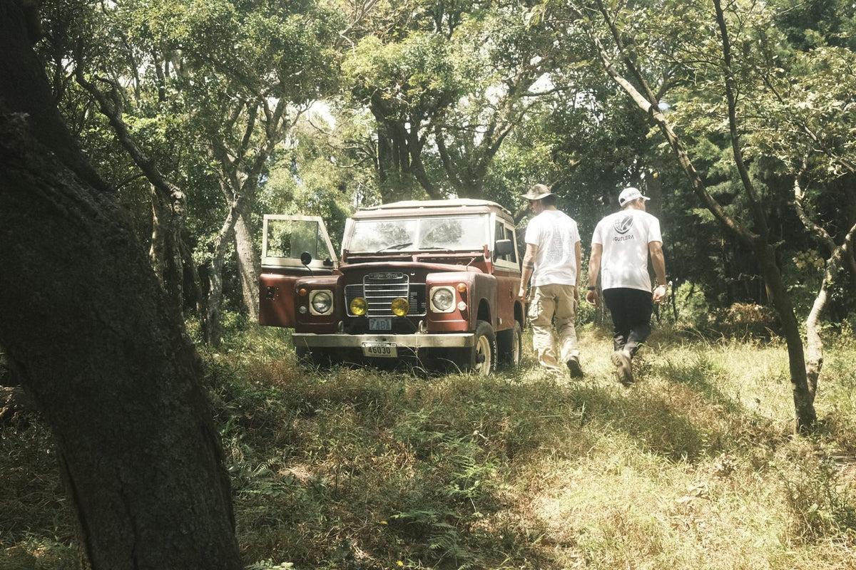 Finca Matilde