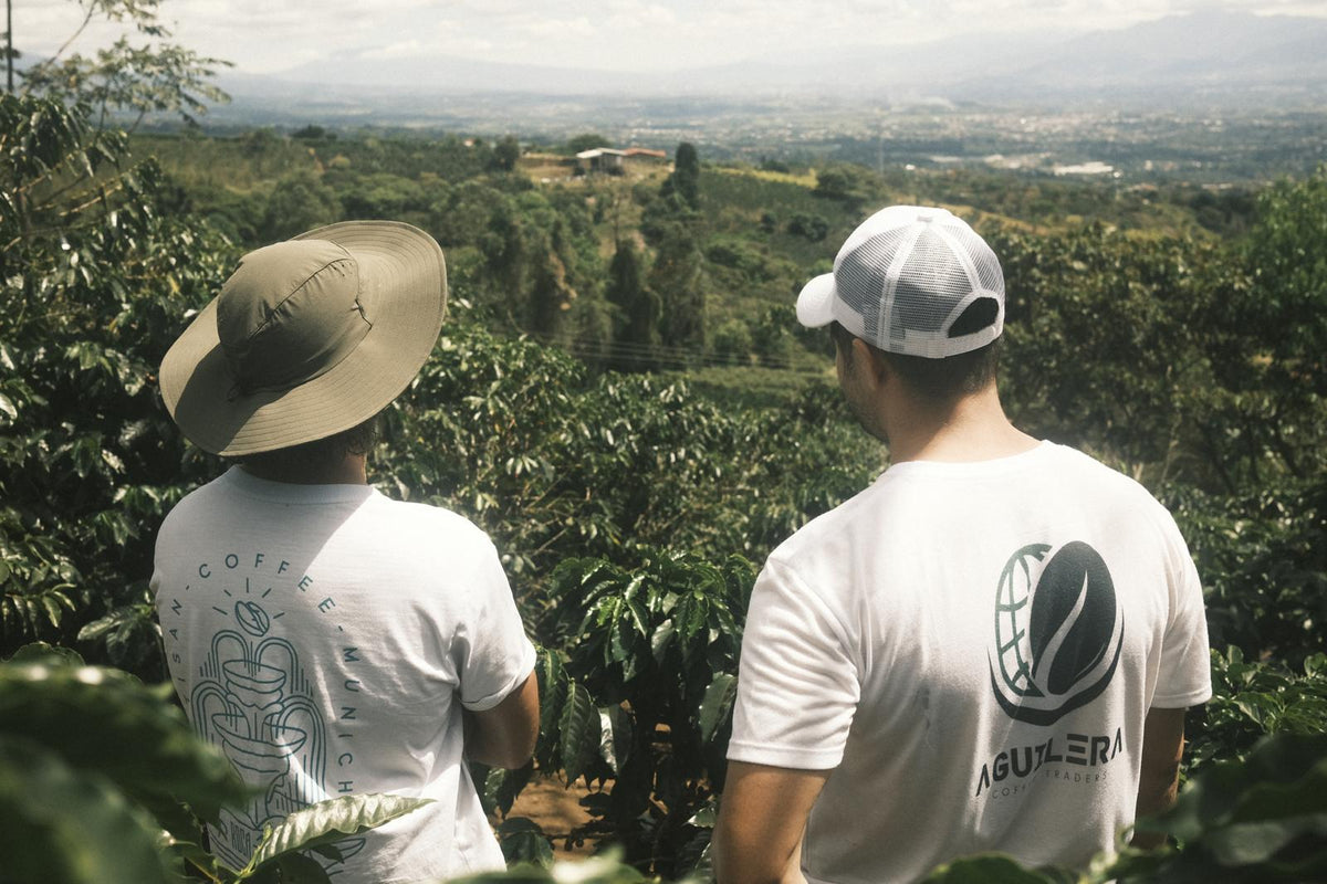 Finca Matilde